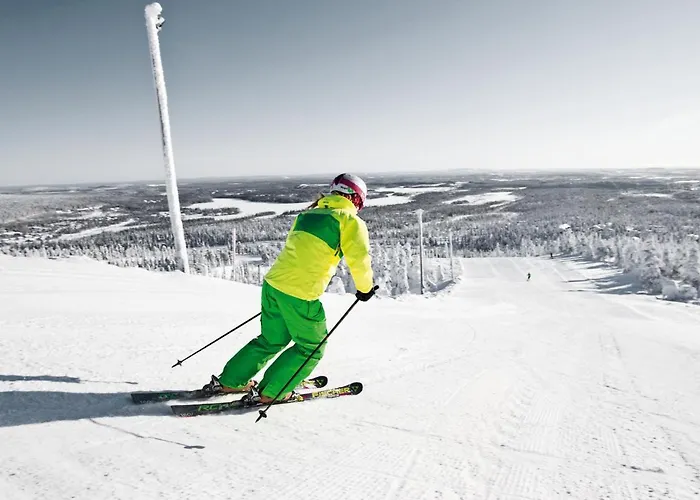 Ski-inn Aurinkorinne 아파트 *