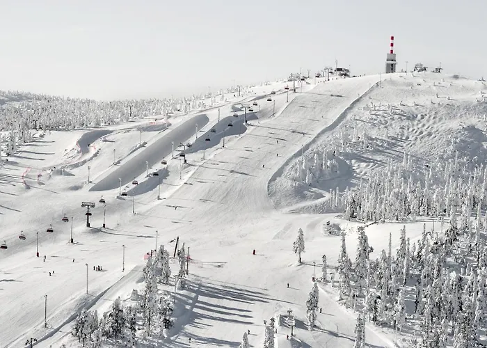 Ski-inn Aurinkorinne 아파트